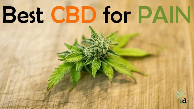 Best CBD for Pain