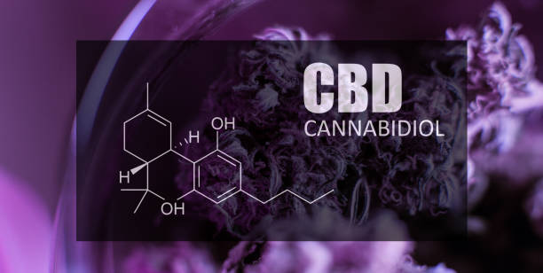 cbd vs cbda