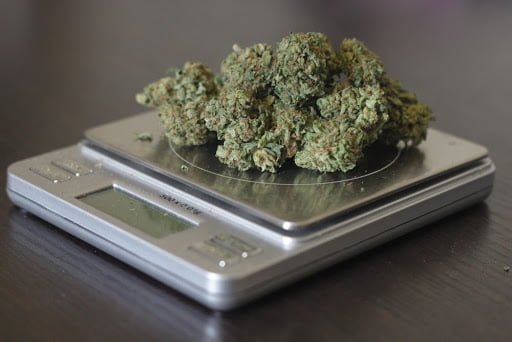 weed scale